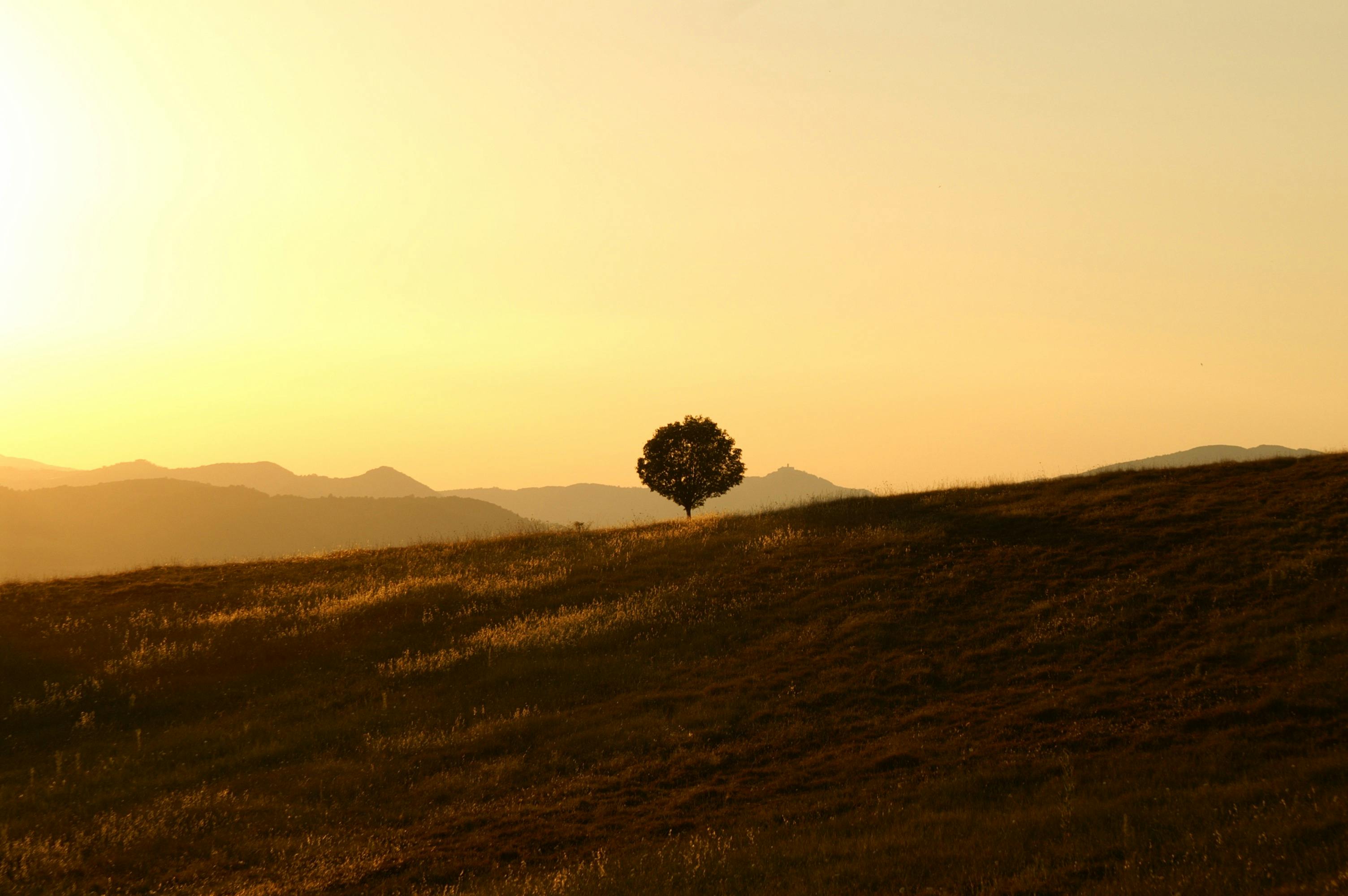 उत्तराखंड में बारिश का कहर, कई जिलों में अलर्ट जारी
